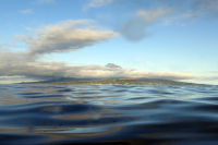 Channel  - Marco Aurélio Santos